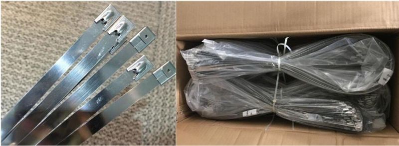 Chinese Direct Factory Stainless Steel 304/316 Cable Ties with UL Certificate