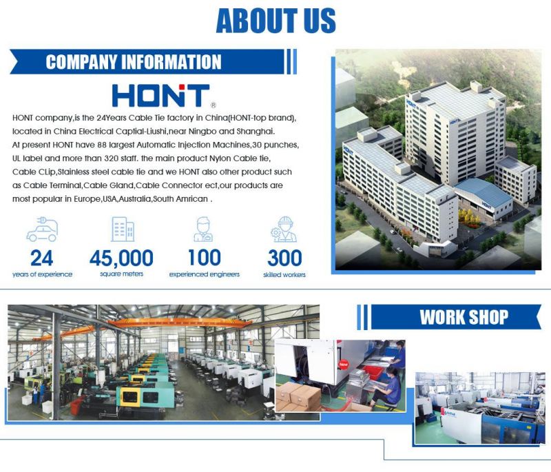 China Nylon Cable Ties Competive Price 4.8*200mm with UL