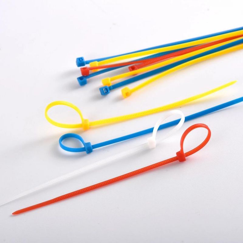 China Direct Manufacturer Reusable Plastic Cable Tie Zip Ties
