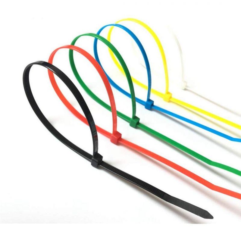 Self-Locking Plastic Nylon Cable Tie with Certificate