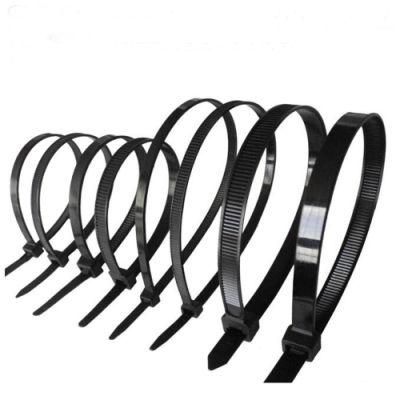 China Manufacturer High Quality Self-Locking Nylon Cable Tie