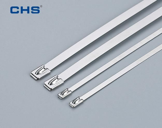 SS304 SS316 Sst-4 Sst-9 Sst-12 Stainless Steel Zip Ties Cable Ties