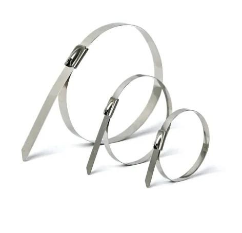 Plastic Color Self-Locking Nylon66 Cable Tie