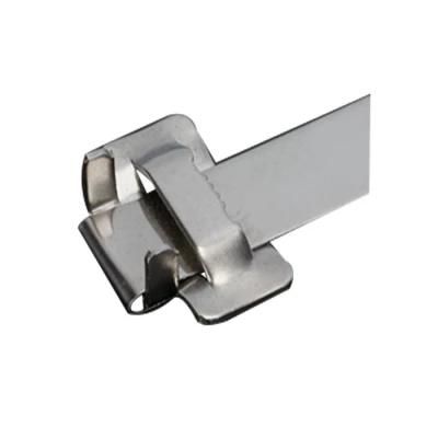 Ss 304 Stainless Steel Banding Clips-Ear Look Type 19.