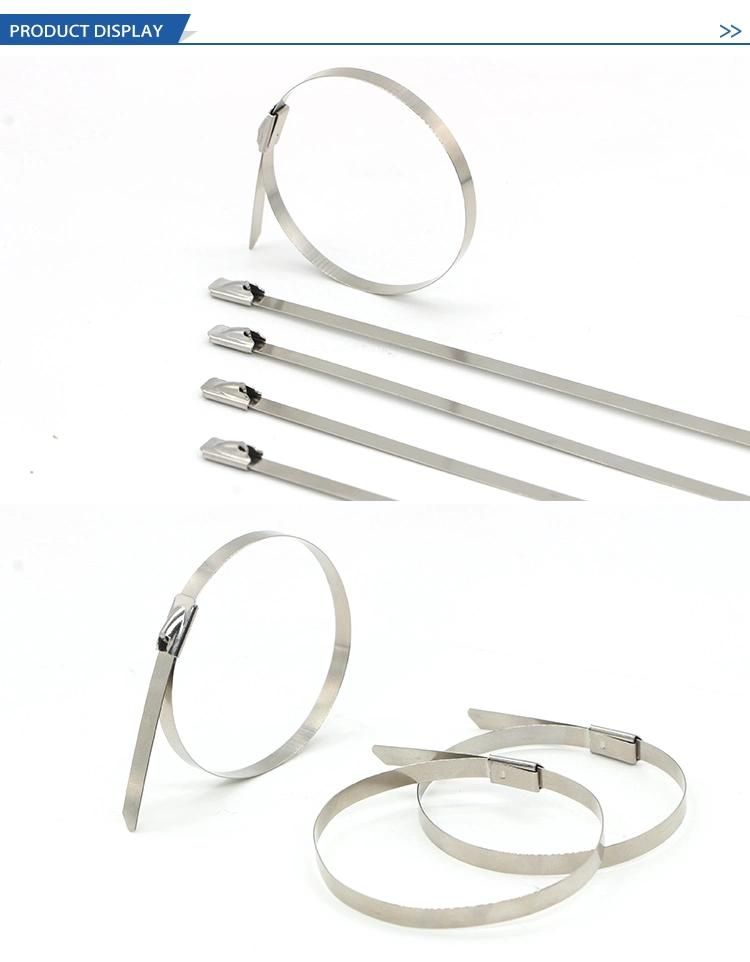 316 Metal Uncoated Stainless Steel Cable Ties Manufacturer