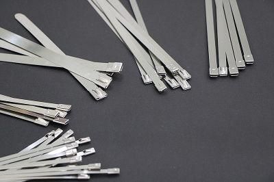 304 201 Accessories Zip Stainless Steel Buckles Ties Cable Tie Hot 4.6X200