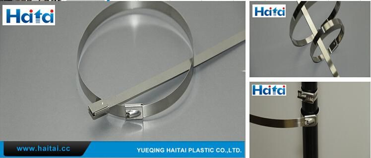 Fob Price Good Quality Stainless Steel Cable Tie Self-Locking Plastic Zip Tie