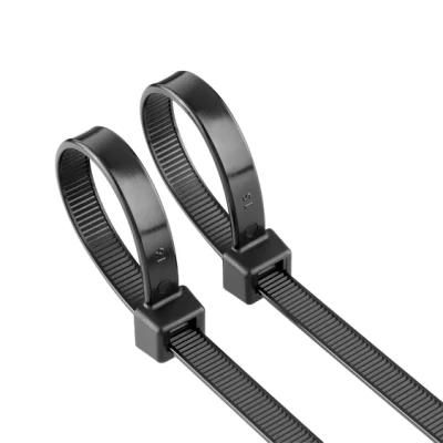 Supplier 2.5*100mm Black Nylon Hi Quality Self Locking Cable Tie