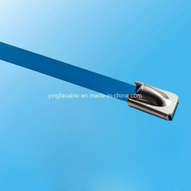 Strong Strength Stainless Steel Grade Metal Locking Cable Ties 4.6X250mm