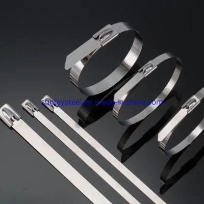 High Tensile Strength Rust Poof Non-Flammability Anti Corrosion Stainless Steel Cable Tie