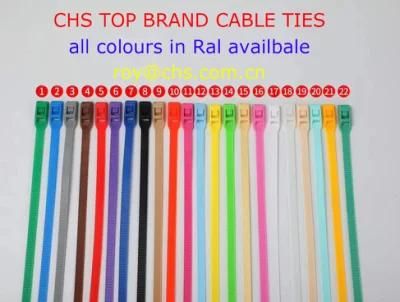 High Quality Colourful Plastic Tie Self-Locking Nylon Cable Ties