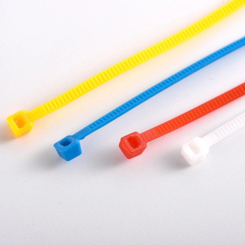 China Direct Manufacturer Reusable Plastic Cable Tie Zip Ties