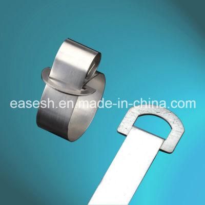 Ring Type Stainless Steel 304/316 Cable Ties (Naked)