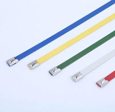 201 304 316 Ball Lock Polyester Coated Stainless Steel Cable Tie