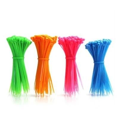 Plastic Color Self-Locking Nylon66 Cable Tie