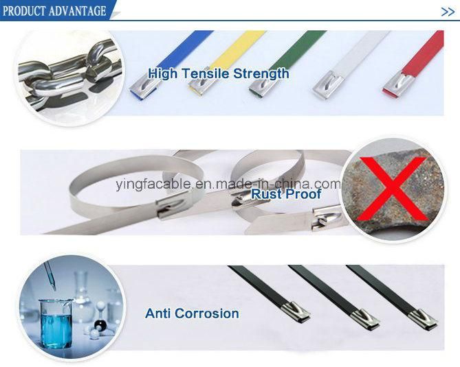 Epoxy Full Coated Ball Locked Stainless Steel Cable Ties