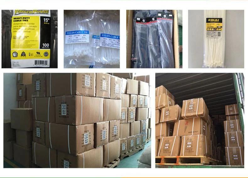 Plastic Zip Ties BLE Tiezu Attraktiven Preisen 2.5*100mm (100 PCS/bag)