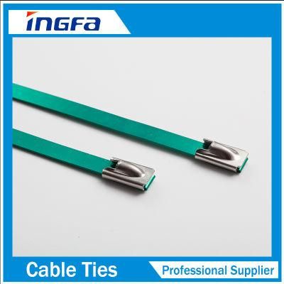 Stainless Steel 304 316 Epoxy Coated Self Locking Strength Type Cable Ties