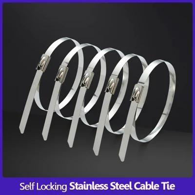 304 316 Stainless Steel Ball Lock Cable Ties Epoxy Coated Metal Wire Cable Tie Manufacturer