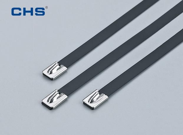 SS304 SS316 Sst-4 Sst-9 Sst-12 Stainless Steel Zip Ties Cable Ties