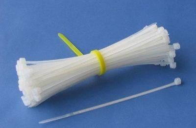 Small Size Nylon Cable Tie 100PCS/Polybag