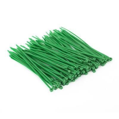 Self-Locking Type And Nylon Material Plastic Cable Tie