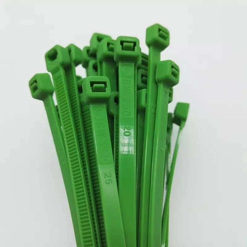 Polypropylene Cable Ties Nylon Cable Ties-Coloured