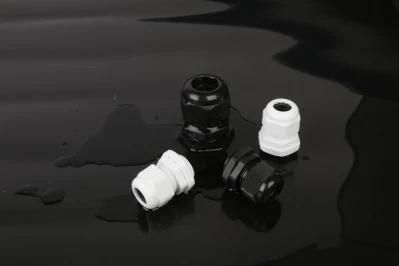 IP68 Nylon66 or PP 100PCS/Bag Pg11/Pg16/Pg36 Waterproof Cable Gland Pg11
