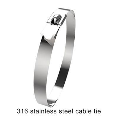 Nlzd 4.6X200mm 316 304 Stainless Steel Cable Ties