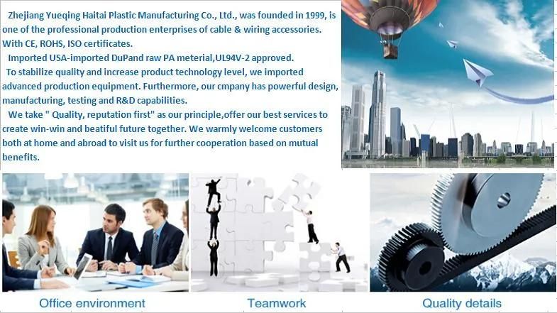 Made in China Factory Price Hook and Loop Durable Plastic Cable Ties