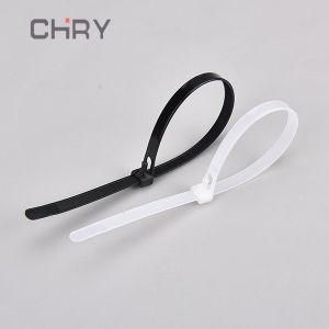 Professional Manufacture Corrosion Resistance Self Locking Nylon Cable Tie
