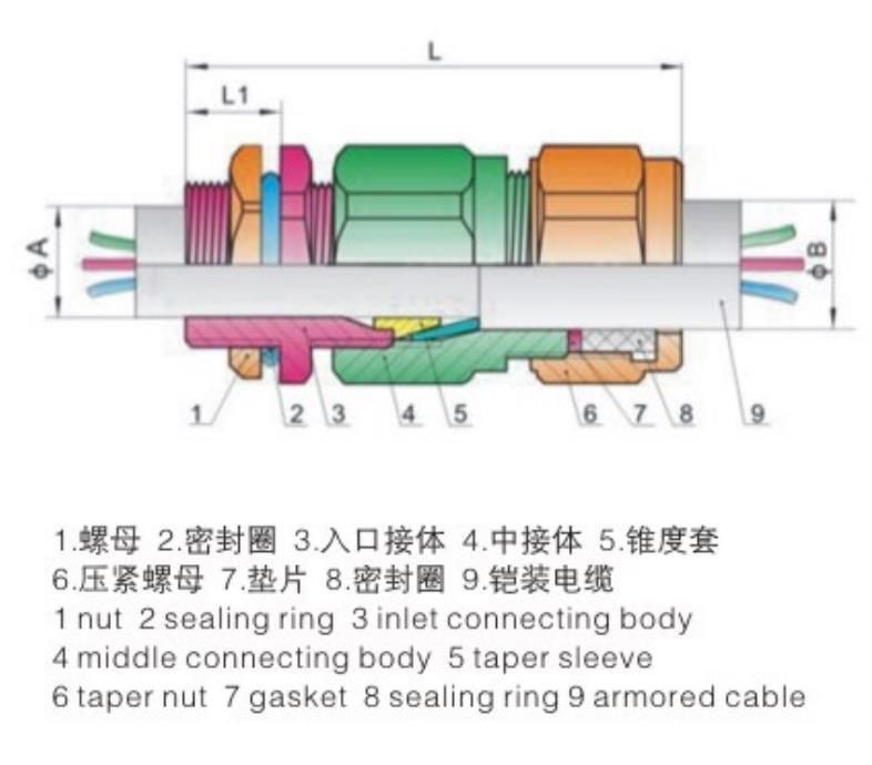 Metal Atex Gland for Aromured M20 Cable Gland Explosion Proof