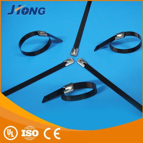 AISI 316 Cable Tie 8X600