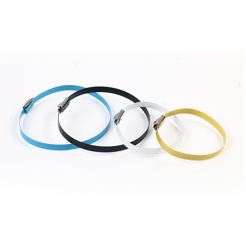 Spray Plastic Colour Tie 304 Stainless Steel Cable Tie Metal Tie Marine Ball Locking Type