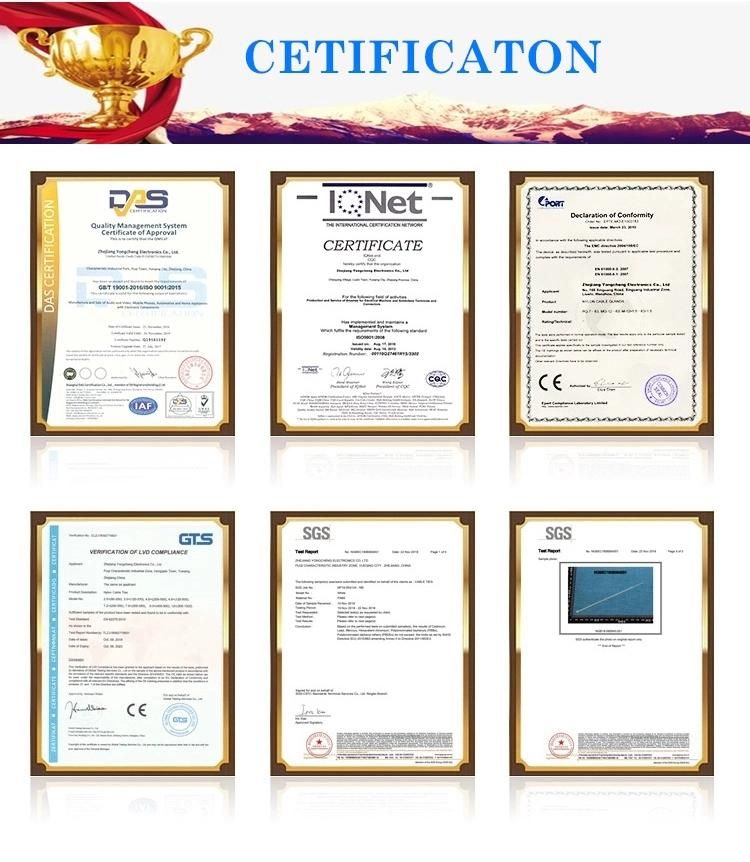 CE Approval for Stainless Zip Ties