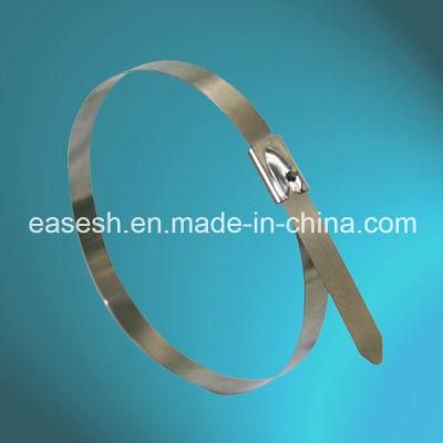 Top Quality 304/316 Grade Stainless Steel Cable Ties