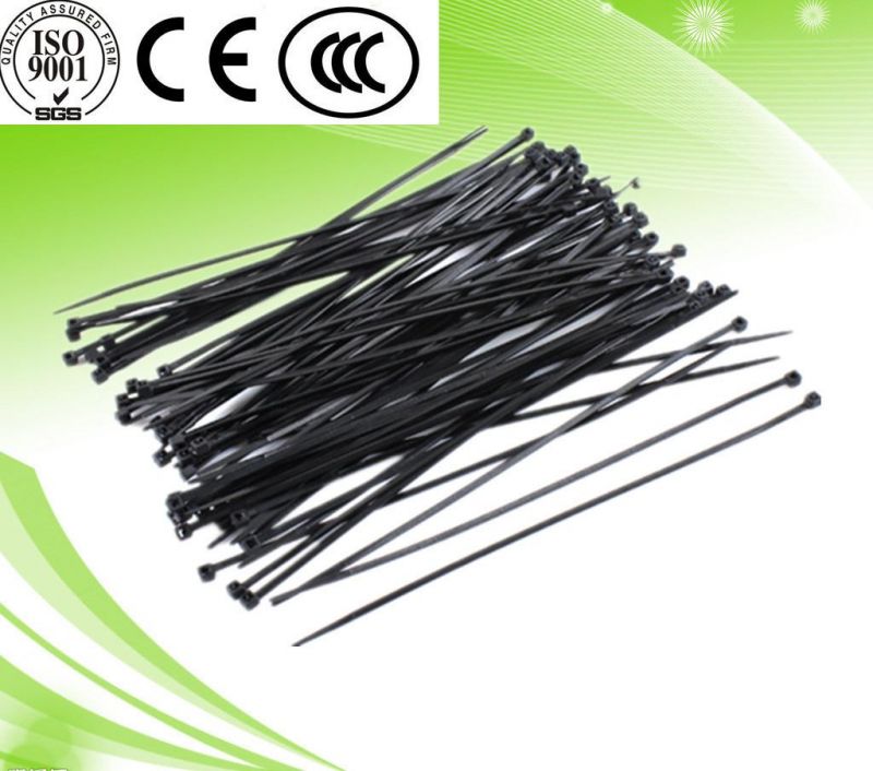 White or Black Color Nylon Cable Tie