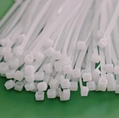 Plastic 2.5X100-3.6X300 Ties Accessories Zip Products PA66 Nylon Cable Tie with CE Factory