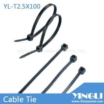 Colorful Nylon Cable Tie with RoHS