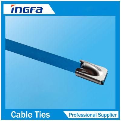 Strong Strength Stainless Steel Grade Metal Locking Cable Ties 4.6X250mm