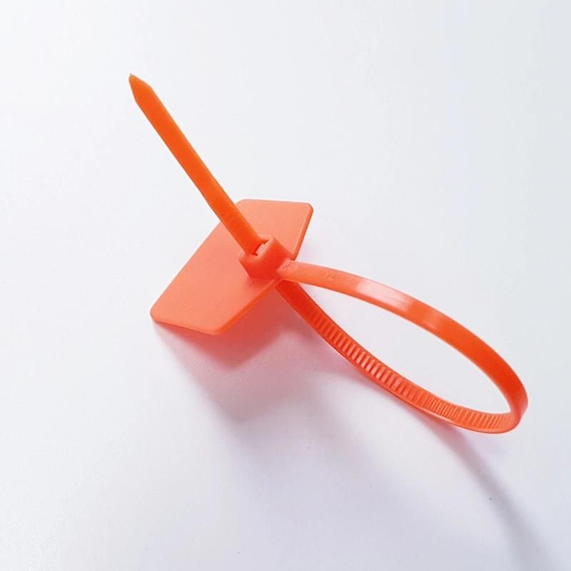 Guangzhou Manufacturer Plastic Nylon Cable Ties with Writable Tags