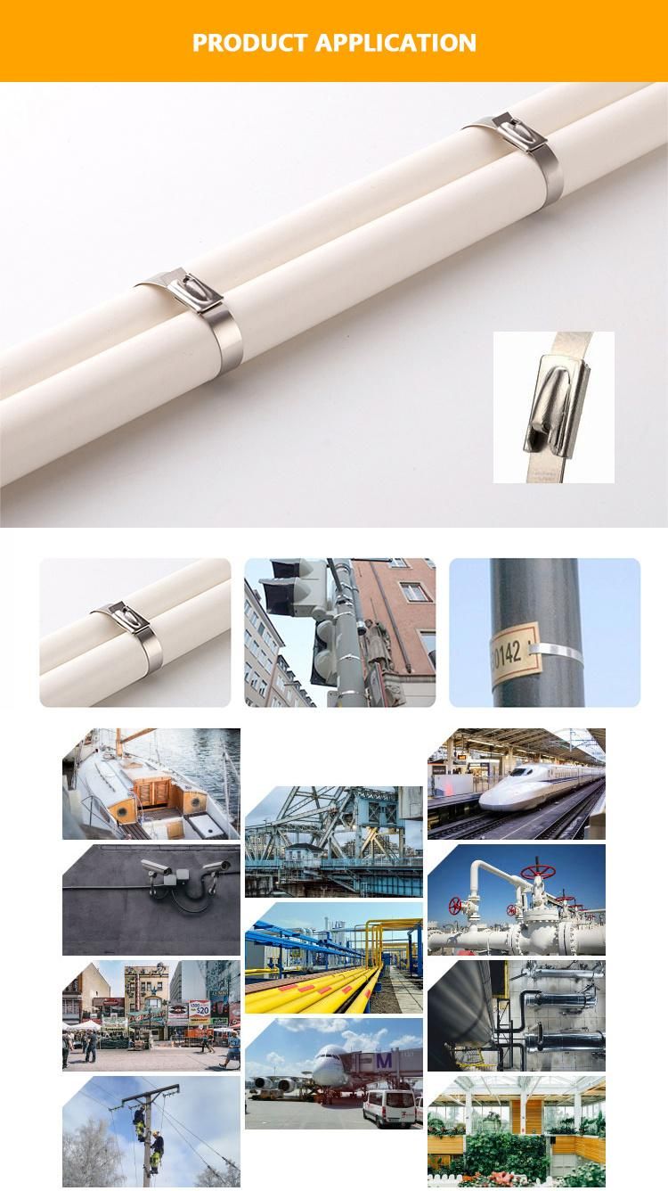 Spray Plastic Colour Tie 304 Stainless Steel Cable Tie Metal Tie Marine Ball Locking Type