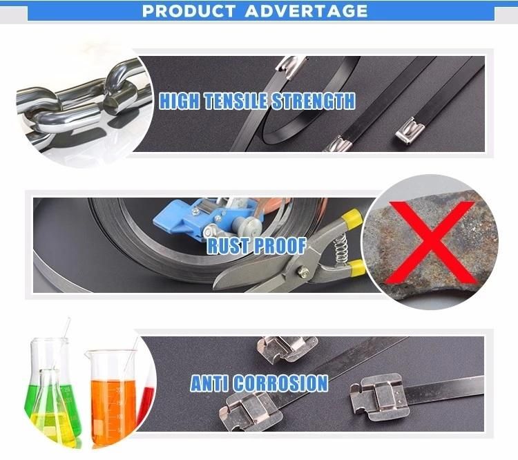 Factory Directly Provide High Quality Multi Barb Lock Type Stainless Steel Cable Ties