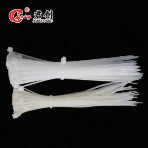 Jcct013 Nylon Plastique Cable Ties with Label Writable