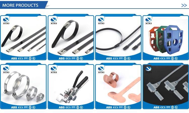 201/304/316 Self Locking Stainless Steel Cable Ties