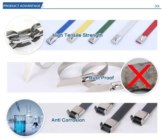 Ss316 Releasable Stainless Steel Cable Ties for Banding Cables