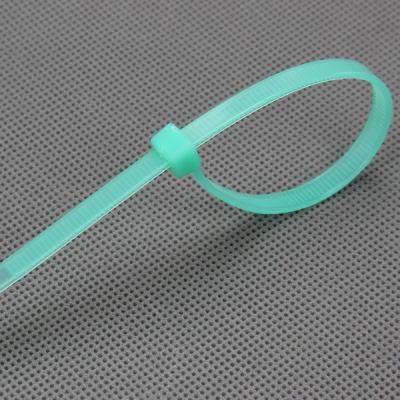 6.8*150 Nylon Cable Tie with CE and RoHS Certrfication