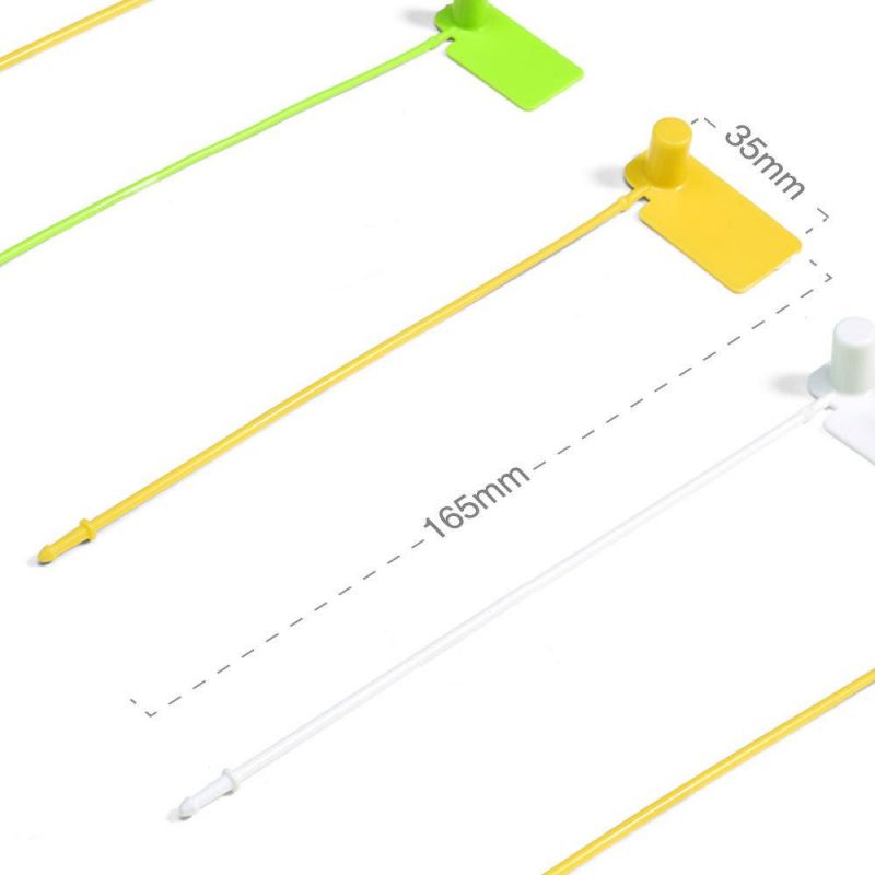 Printing Plastic Disposable Security Seal Label (TC170S-2028-y)