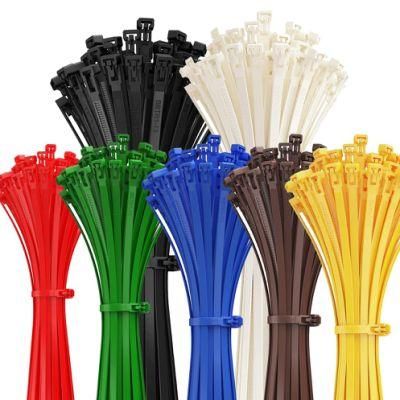 Competitive Price High Quality Flexible 7.6*200mm Releasable Nylon Cable