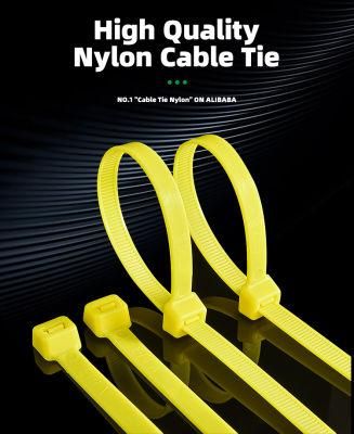 Hot Sale Heavy Duty Nylon PA66 Self Locking Cable Ties
